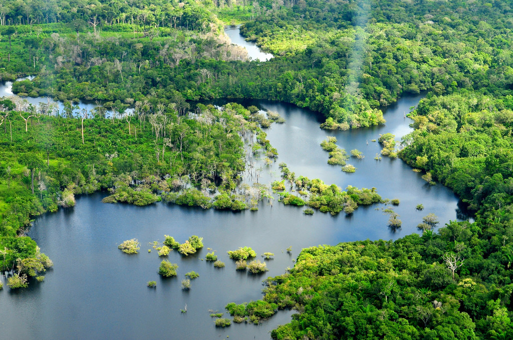 Amazon rainforest