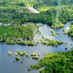 Amazon rainforest